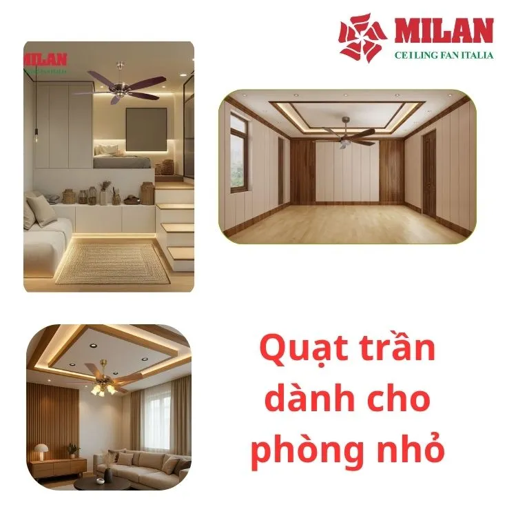 Không gian lắp đặt quạt trần cho phòng nhỏ